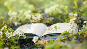 Elk Creek Notes: The Books I’m Learning from to Garden With Respect for Place