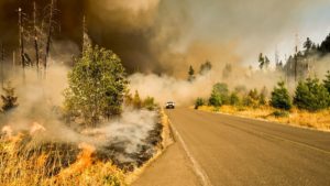 Wildfire Prevention: Where Safety and Environmentalism Connect