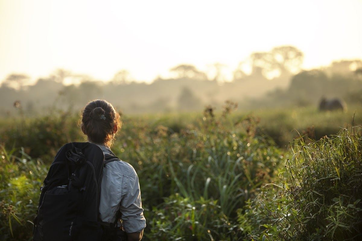 Gorilla trekking in the Republic of Congo 