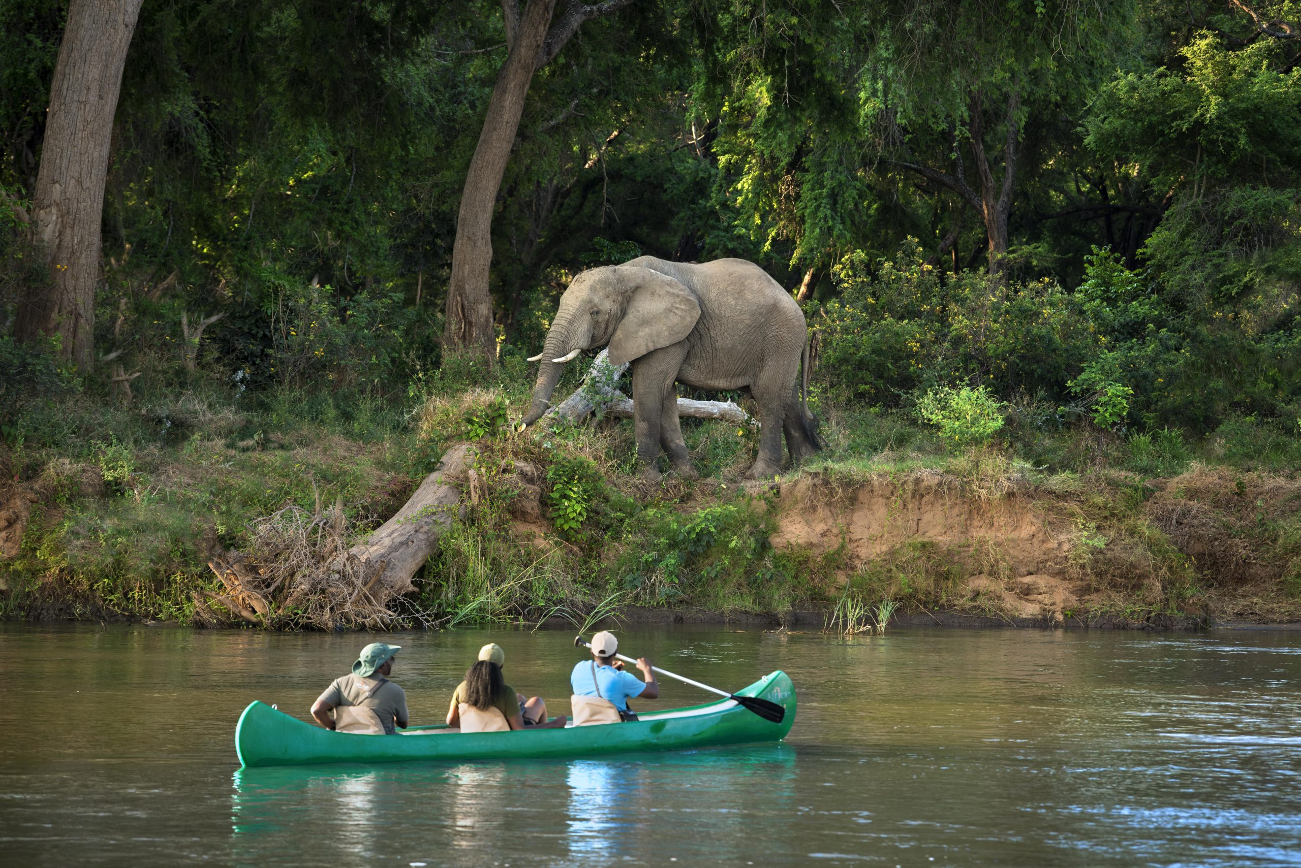Experiencing the Big 5 from a boat 