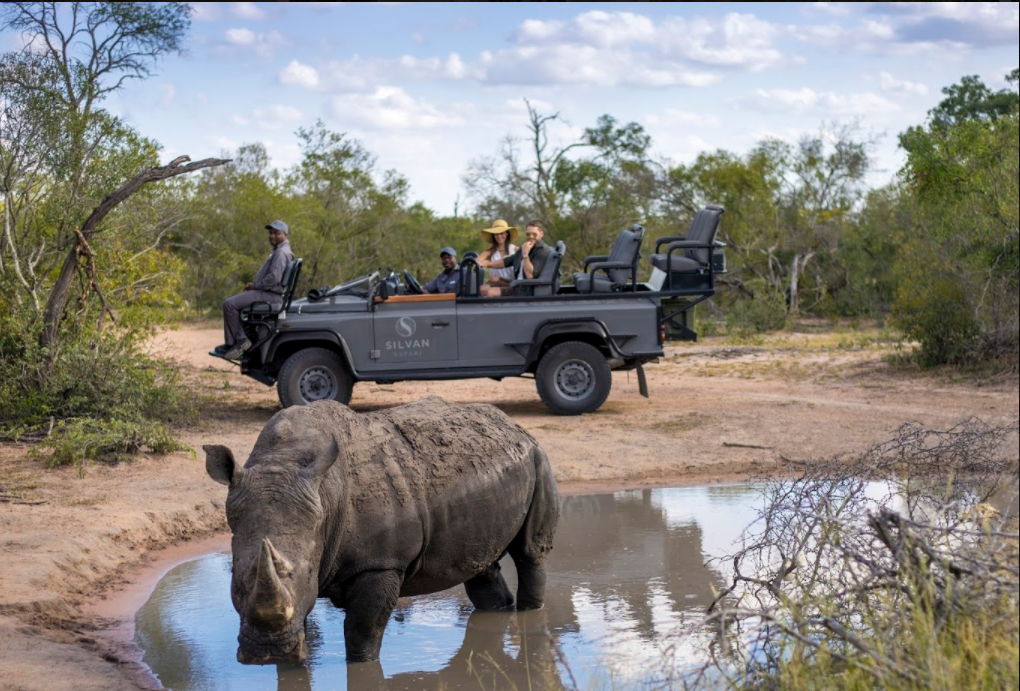 Big 5 sighting in the Sabi Sand Game Reserve