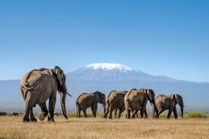 The Best Lodges in Amboseli National Park for Families
