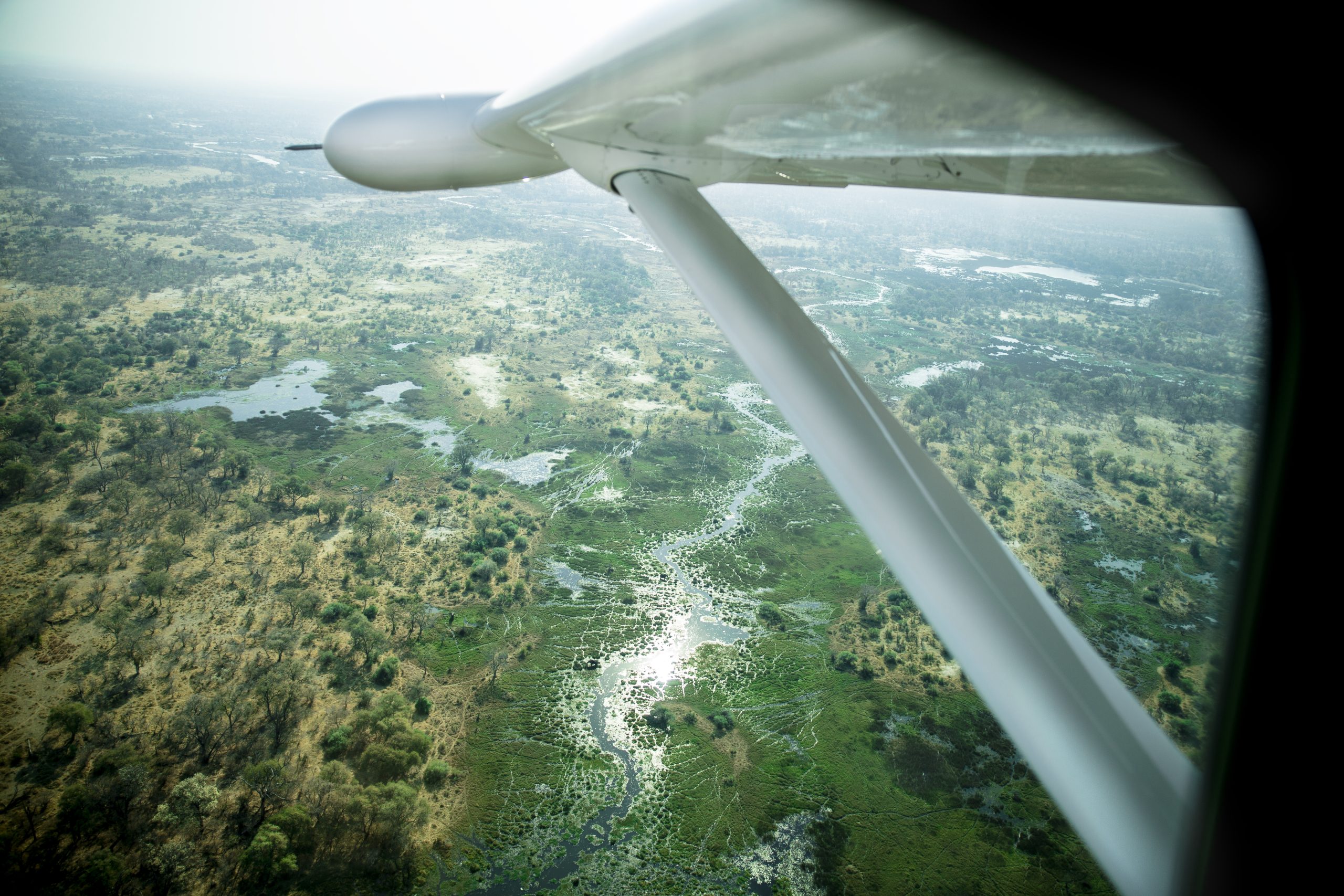 flying in a caravan plane in Botswana