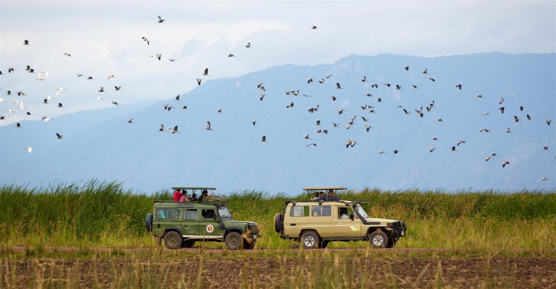 Safari in Tanzania 