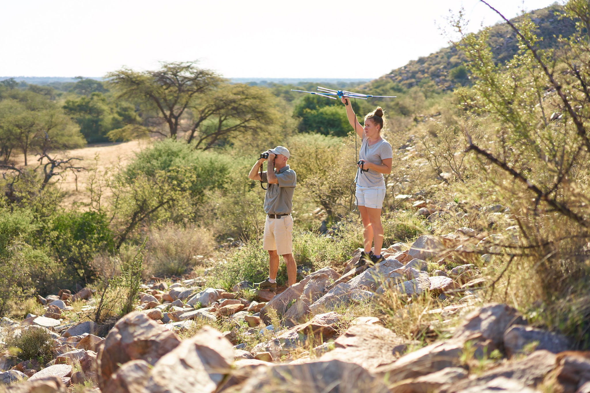 Travel reviews impact conservation efforts by providing ongoing funding from guests
